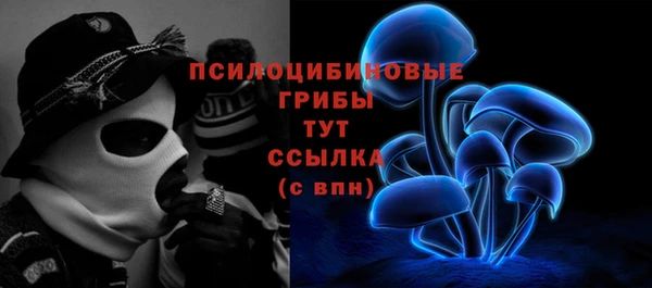 соль курить ск Алзамай